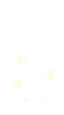 4_POINT_YELLOW