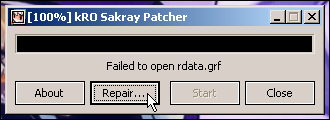 ro-patcher-lite repair-button